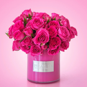 Soho Petal Collection